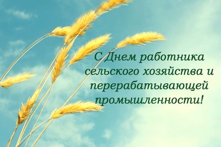 С Днём работника сельского хозяйства и перерабатывающей промышленности