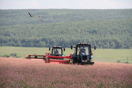 Сельхозкооперативы Красноярского края получили на технику и оборудование более 126 миллионов господдержки