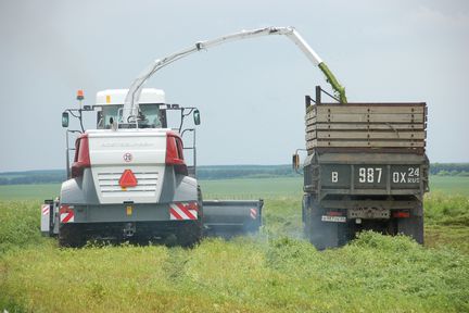 Аграрии Красноярского края на четверть выполнили план заготовки кормов