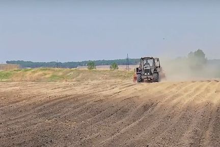 Программа "О хлебе насущном": господдержка сельчан и изучение агротехнологий в колледжах