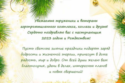 Новогоднее поздравление министра сельского хозяйства и торговли края Леонида Шорохова