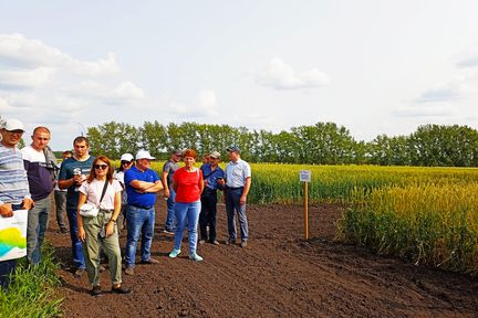 Красноярский аграрный университет презентовал научный видеоотчет о достижениях вуза в растениеводстве "День поля - 2022"