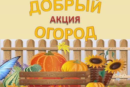 Жителей Красноярского края приглашают принять участие в агроволонтерской акции «Добрый огород»