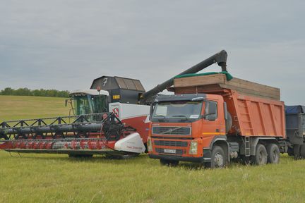 Хлеборобы Красноярского края намолотили два миллиона тонн зерна