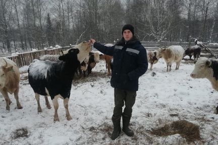 В Красноярском крае в полтора раза увеличили объём поддержки конкурса грантов «Агростартап»