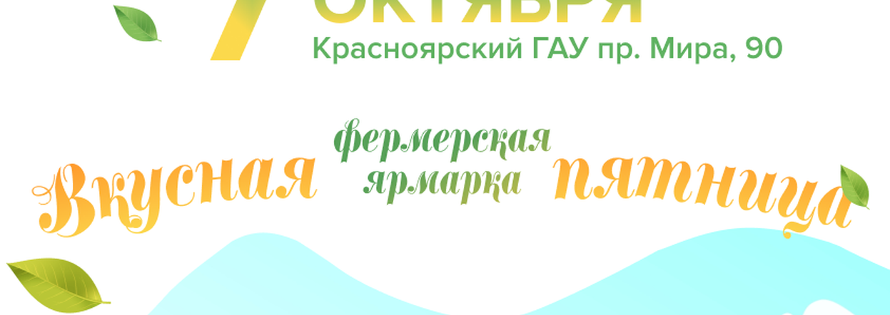 Картофель нового урожая и ремесленные сыры предложат горожанам местные производители на «Вкусной пятнице» в Красноярске