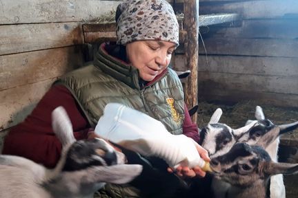 В аграрном производстве, пищевой и перерабатывающей промышленности края заняты почти 30 тысяч человек