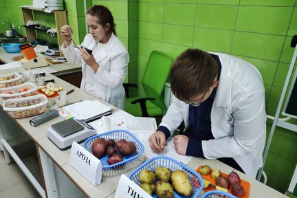 Система профтехобразования в крае возвращает себе лидерство в предпочтениях выпускников