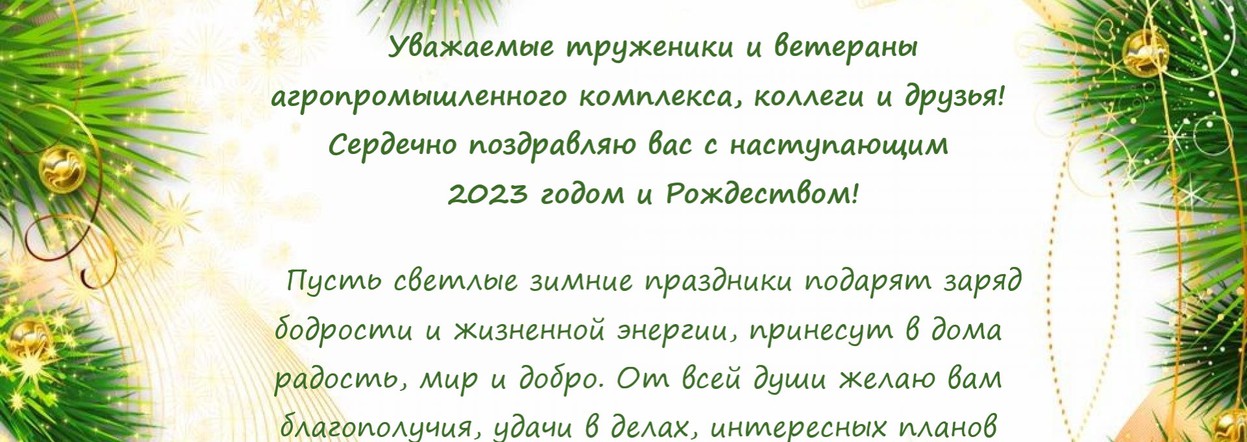 Новогоднее поздравление министра сельского хозяйства и торговли края Леонида Шорохова