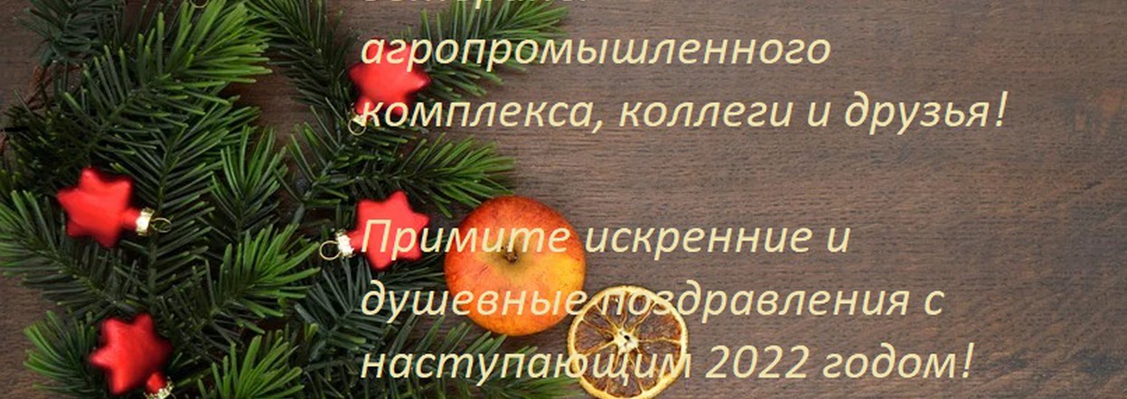 Новогоднее поздравление министра сельского хозяйства и торговли края Леонида Шорохова